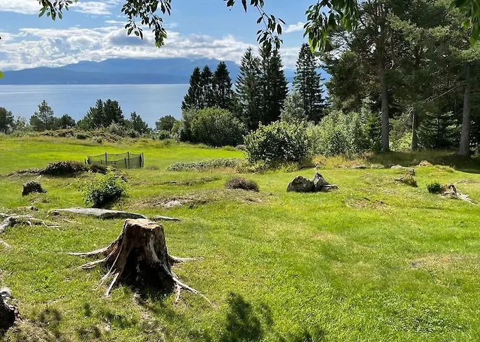 Sjarmerende Hytte Omgitt Av Vakker Natur