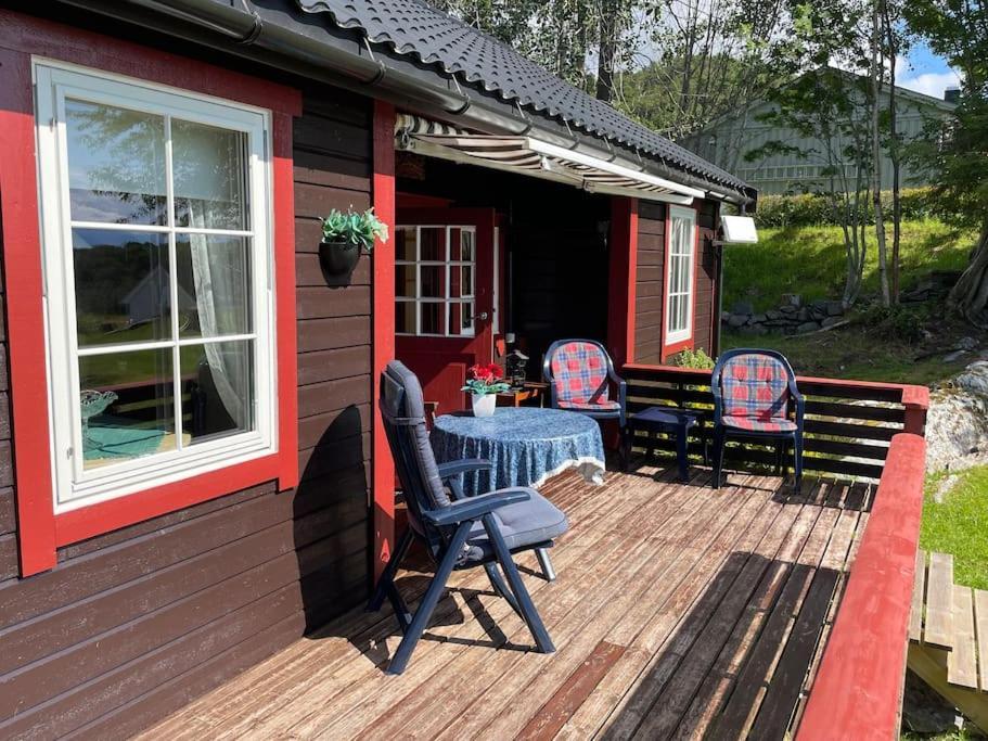 Sjarmerende Omgitt Av Vakker * Molde