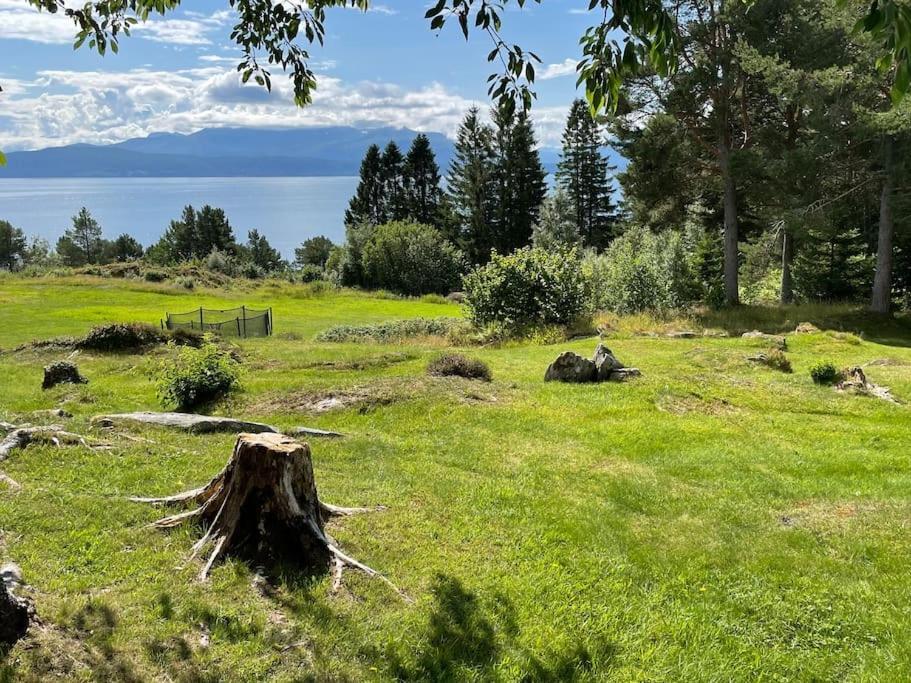Sjarmerende Omgitt Av Vakker * Molde