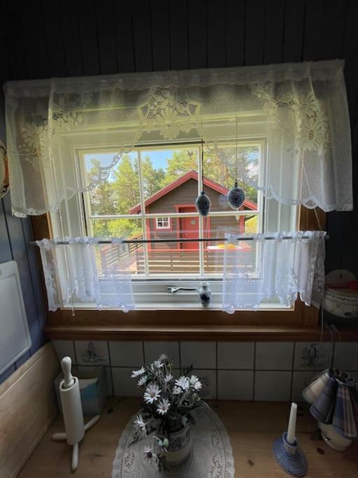Sjarmerende Omgitt Av Vakker Molde