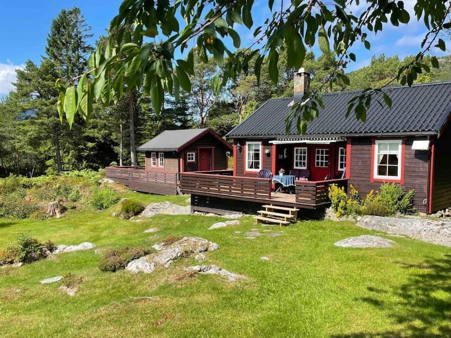 Sjarmerende Omgitt Av Vakker